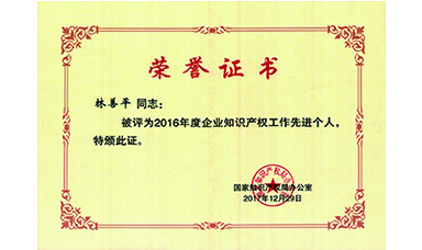 林善平榮獲國家“企業知識產權工作先進個人”